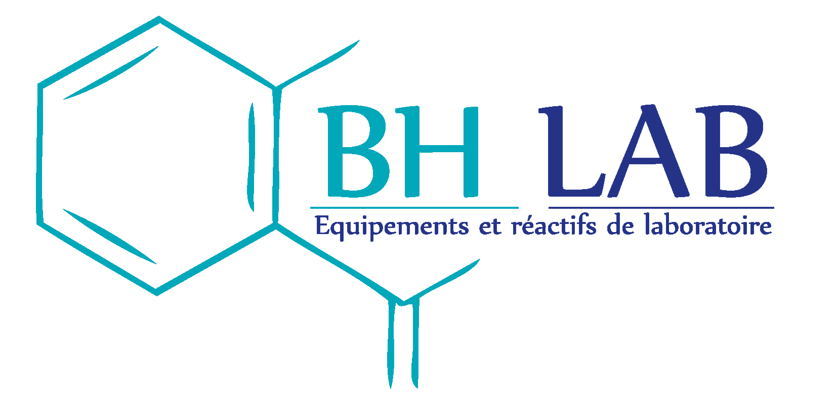 BHLab Support